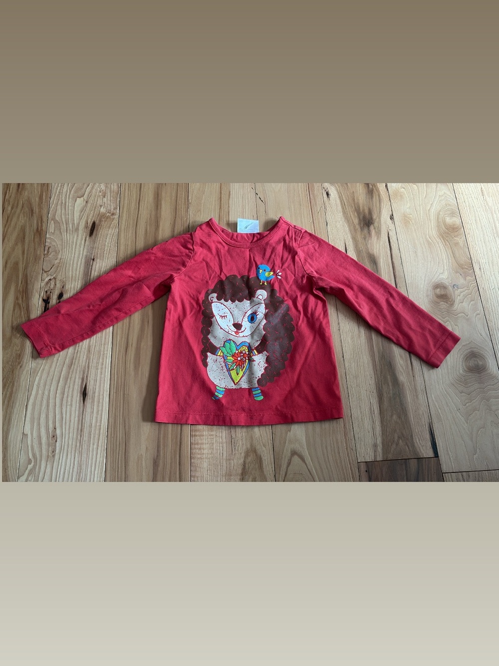 Hanna Andersson Red Long-Sleeve Tee with Hedgehog Graphic